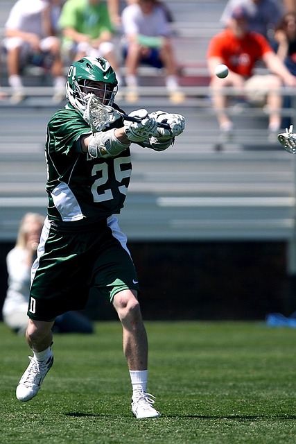 他显然是不 他显然是不